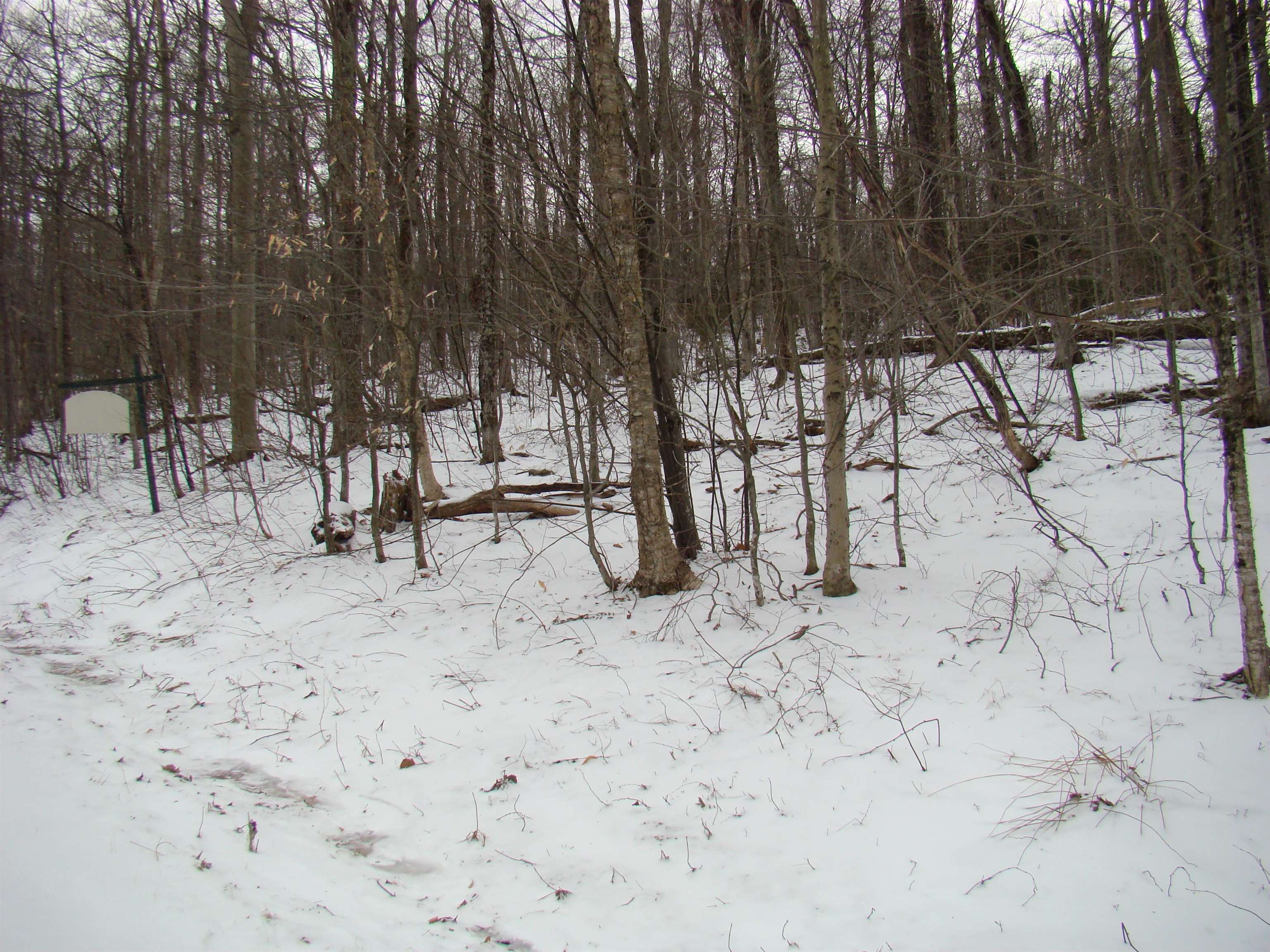 1 Rogue's Ridge Road Winhall, VT 05340 - Photo 14 of 21