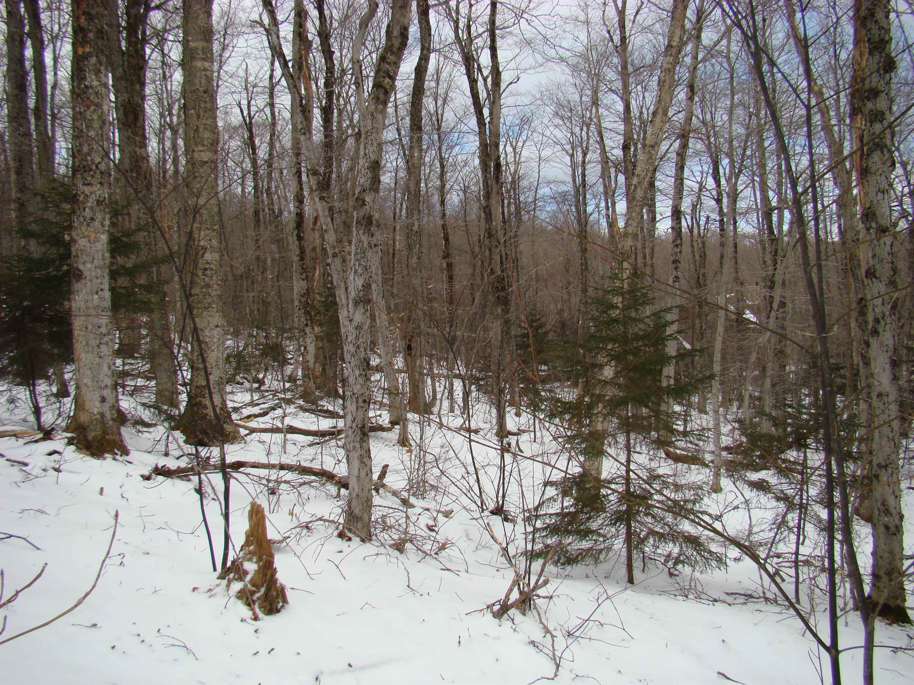 1 Rogue's Ridge Road Winhall, VT 05340 - Photo 7 of 21