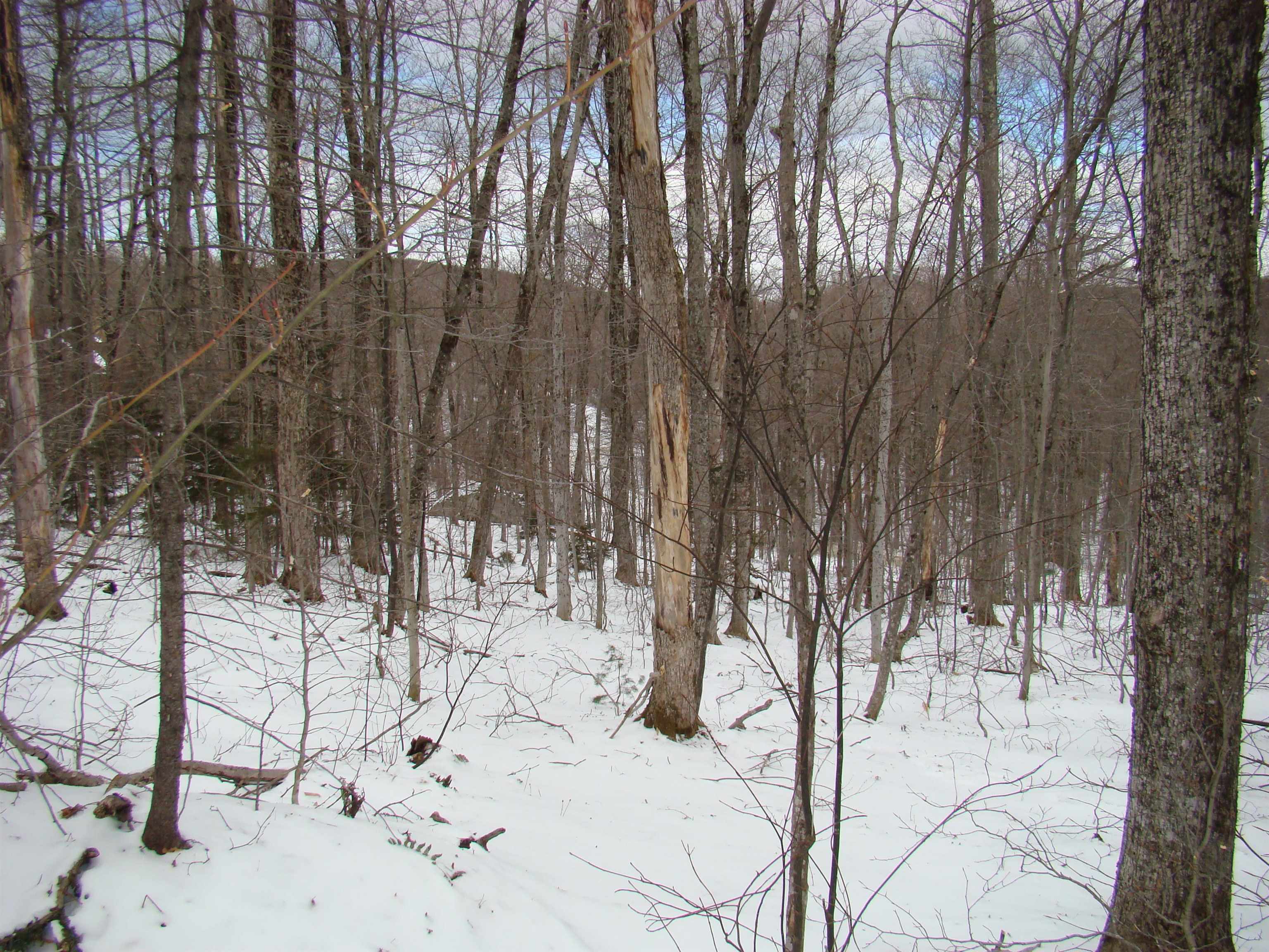 1 Rogue's Ridge Road Winhall, VT 05340 - Photo 8 of 21