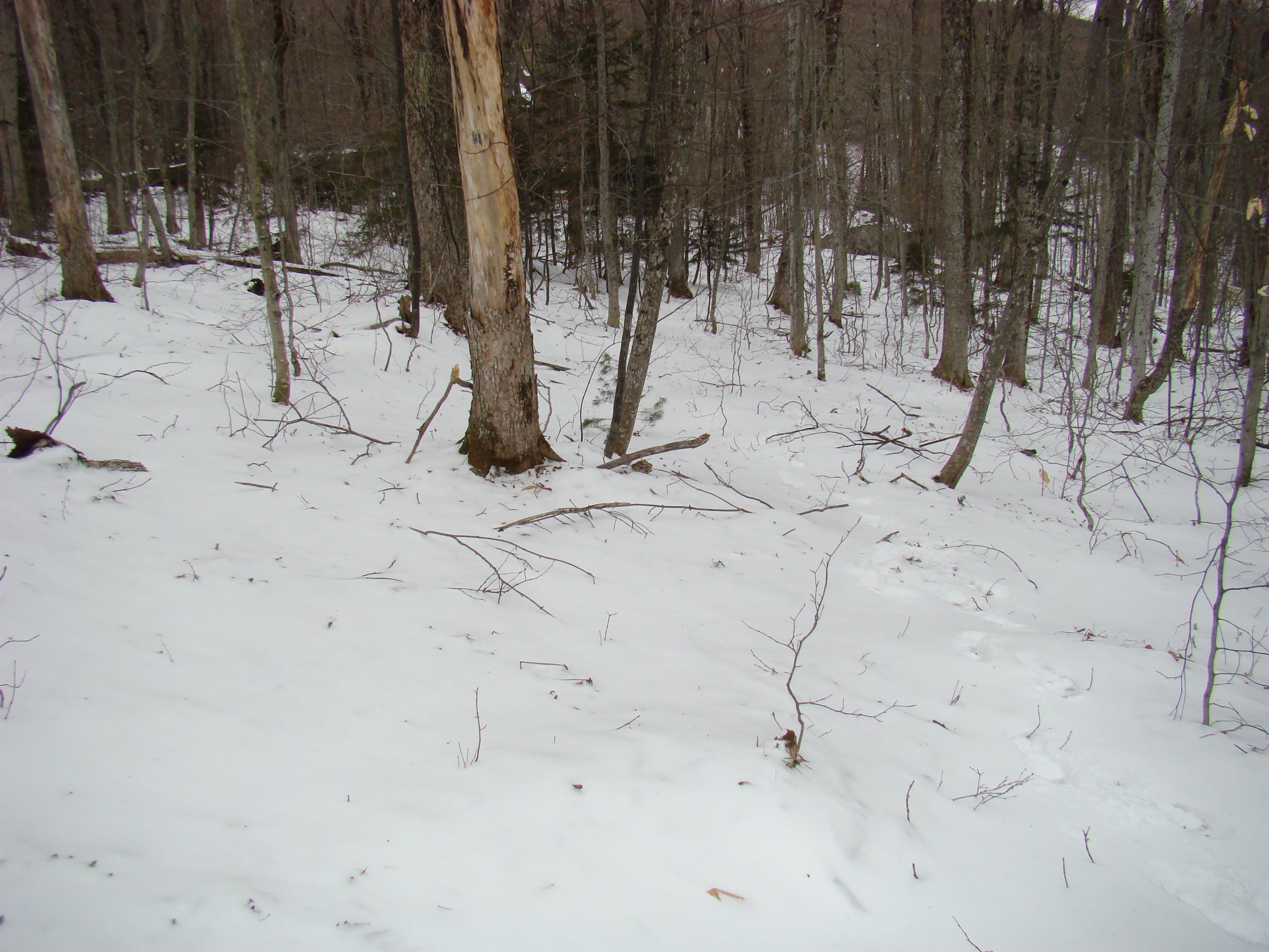 1 Rogue's Ridge Road Winhall, VT 05340 - Photo 9 of 21