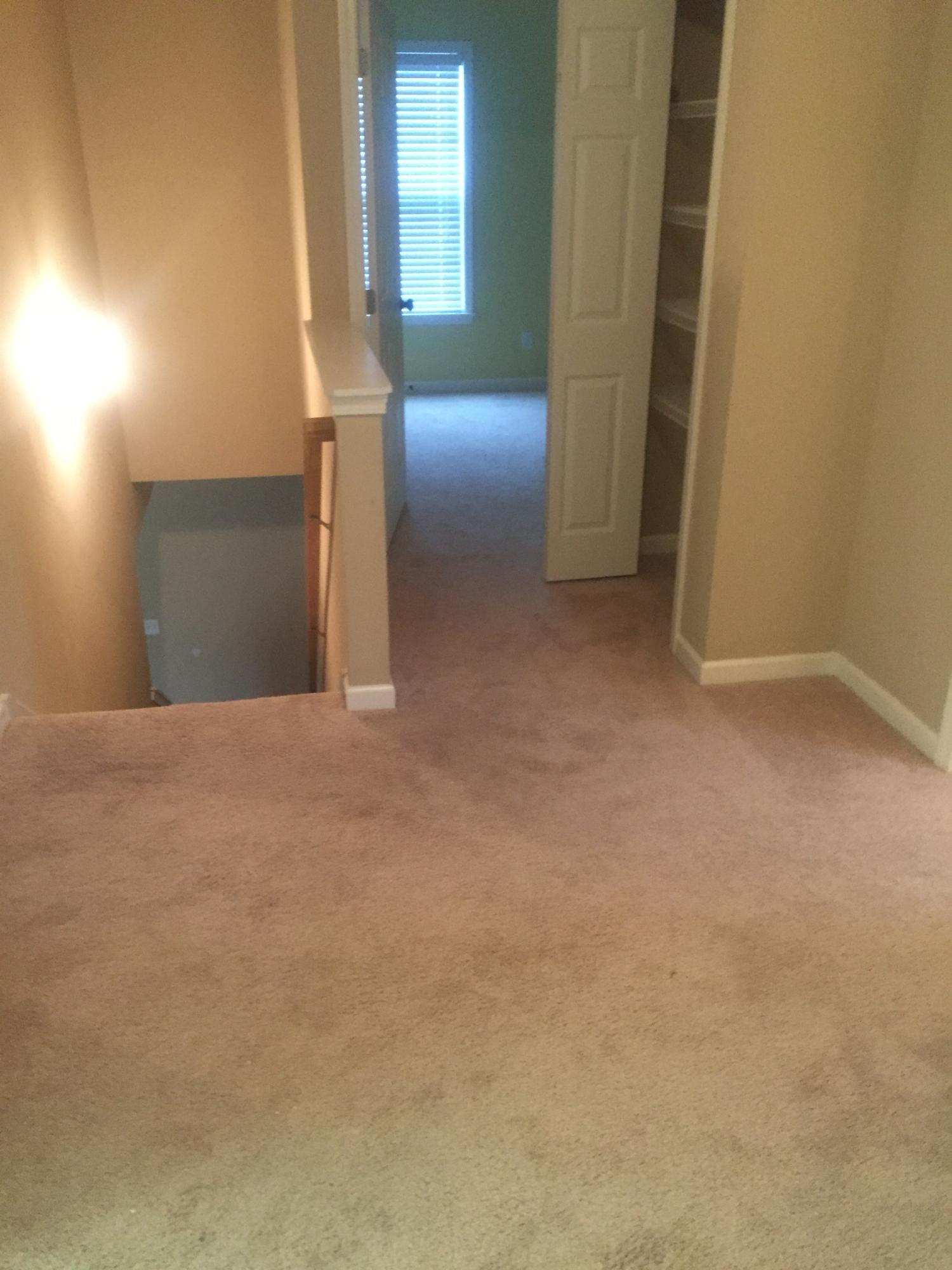 7701 Longshanks Road Corryton, TN 37721 - Photo 6 of 7 longshanks after cleaning halls