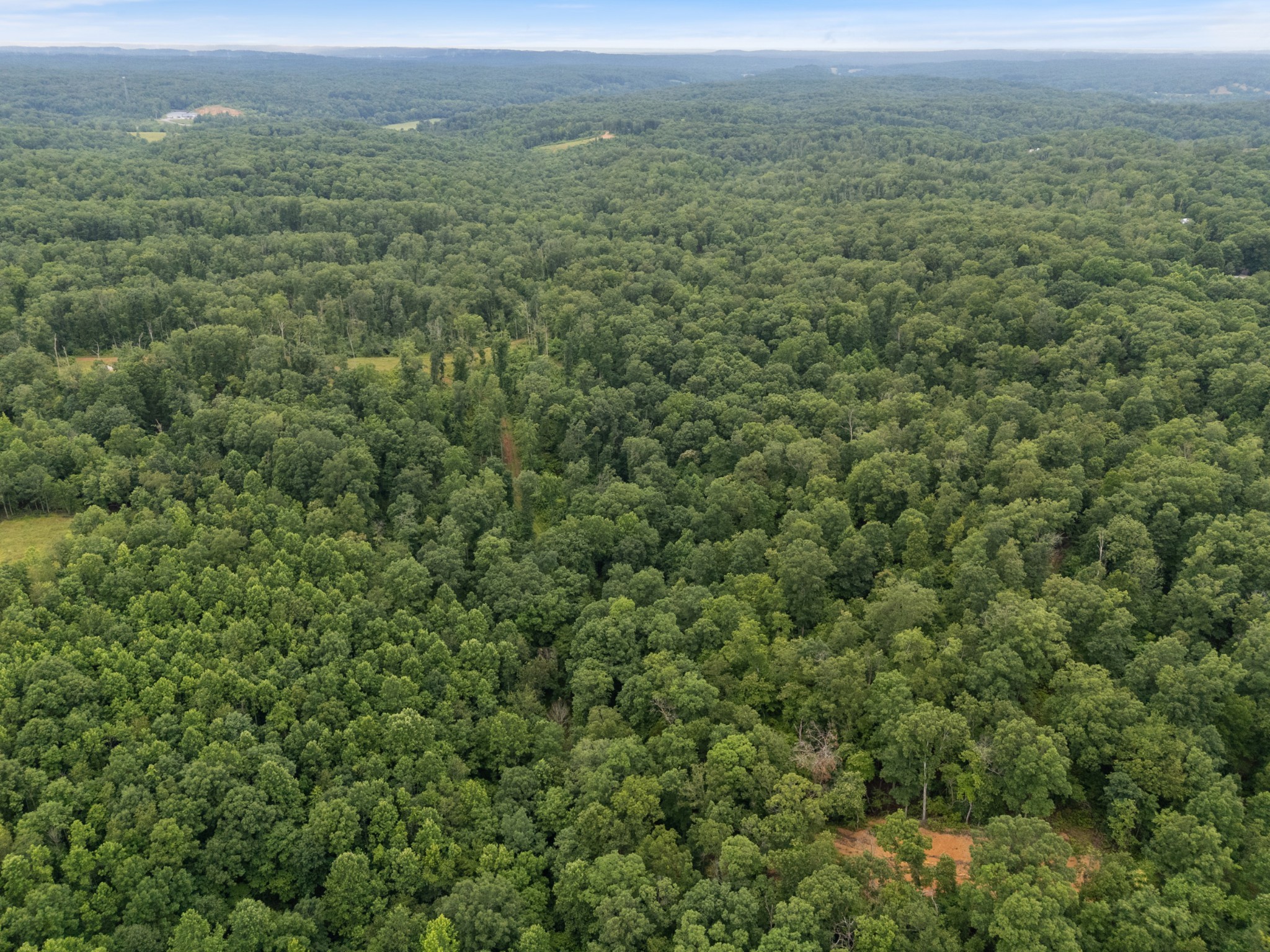 1270 North Buchanan Road Waverly, TN 37185 - Photo 8 of 19