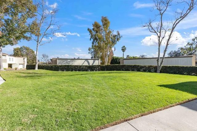 a view of a park with large trees
