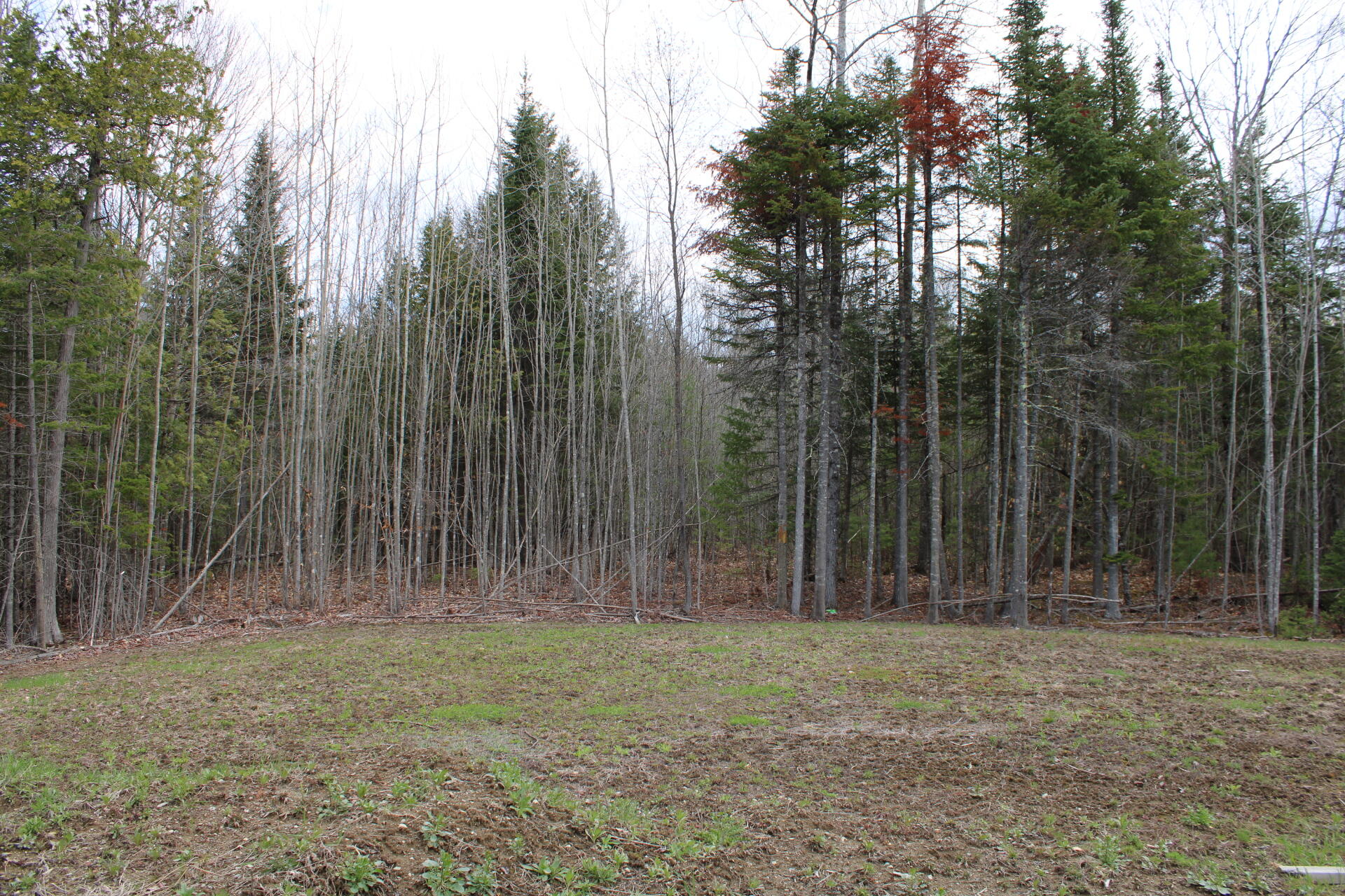 449 Airport Road Norridgewock, ME 04957 - Photo 12 of 14