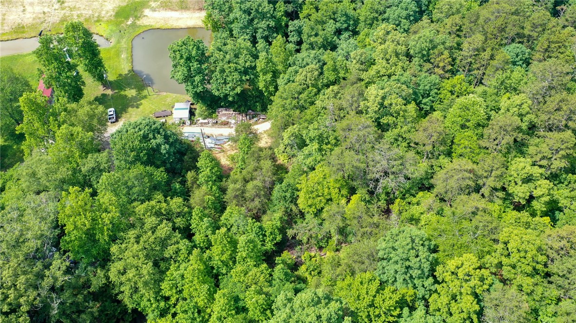 170-174 Lake Circle Road Marietta, SC 29661 - Photo 16 of 32 Gallery Image 16