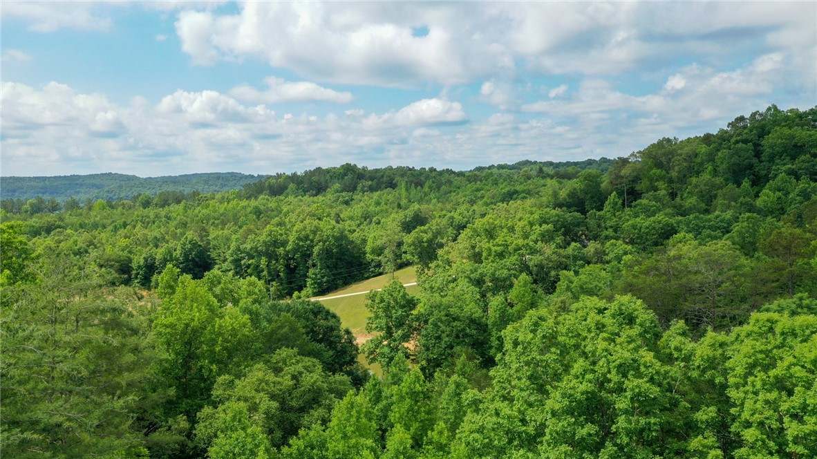 170-174 Lake Circle Road Marietta, SC 29661 - Photo 2 of 32 Gallery Image 2