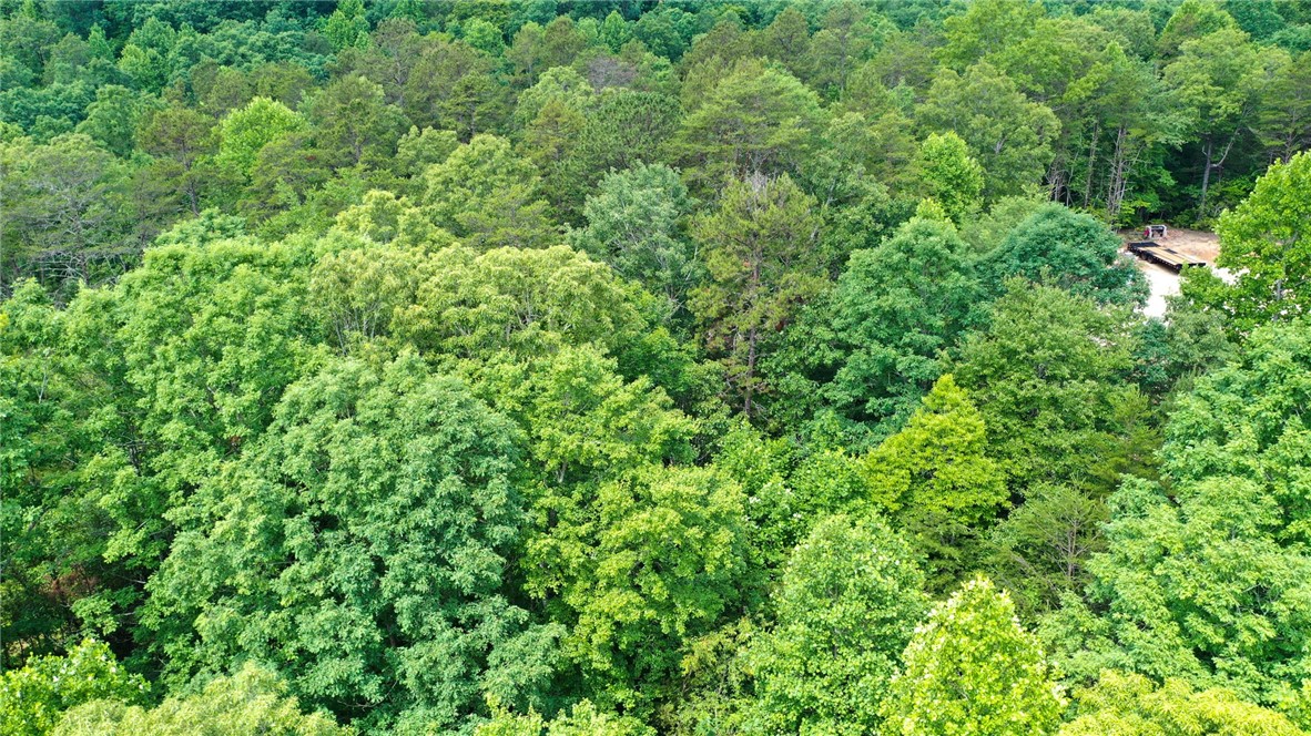 170-174 Lake Circle Road Marietta, SC 29661 - Photo 24 of 32 Gallery Image 24