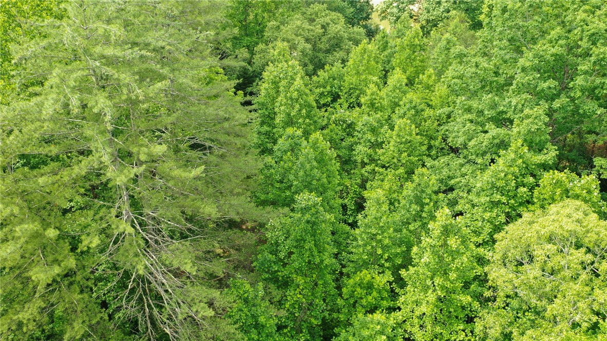 170-174 Lake Circle Road Marietta, SC 29661 - Photo 25 of 32 Gallery Image 25