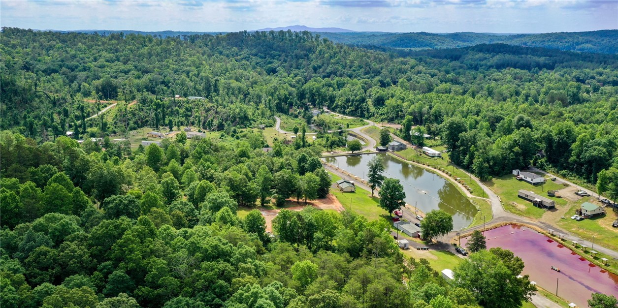 170-174 Lake Circle Road Marietta, SC 29661 - Photo 29 of 32 Laurel & Hardy Fishing Lakes