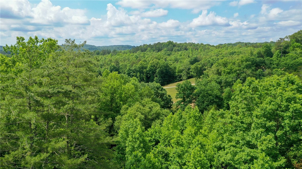 170-174 Lake Circle Road Marietta, SC 29661 - Photo 6 of 32 Gallery Image 6