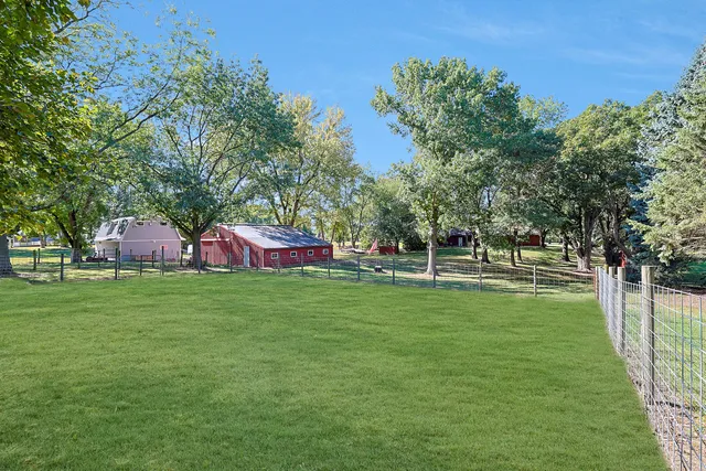 a view of a trees in a yard