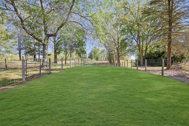 a view of a park with large trees