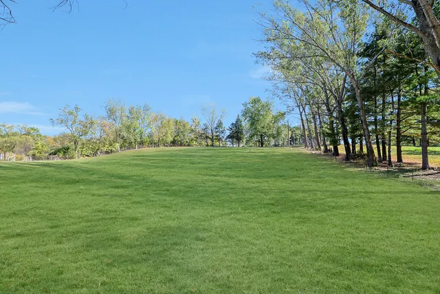a grassy field with trees in the background