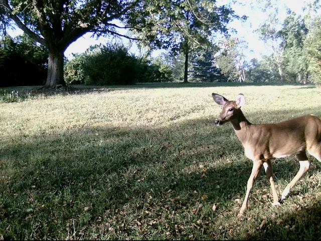 $599,000 | 11116 Seeman Road, Huntley, IL 60142