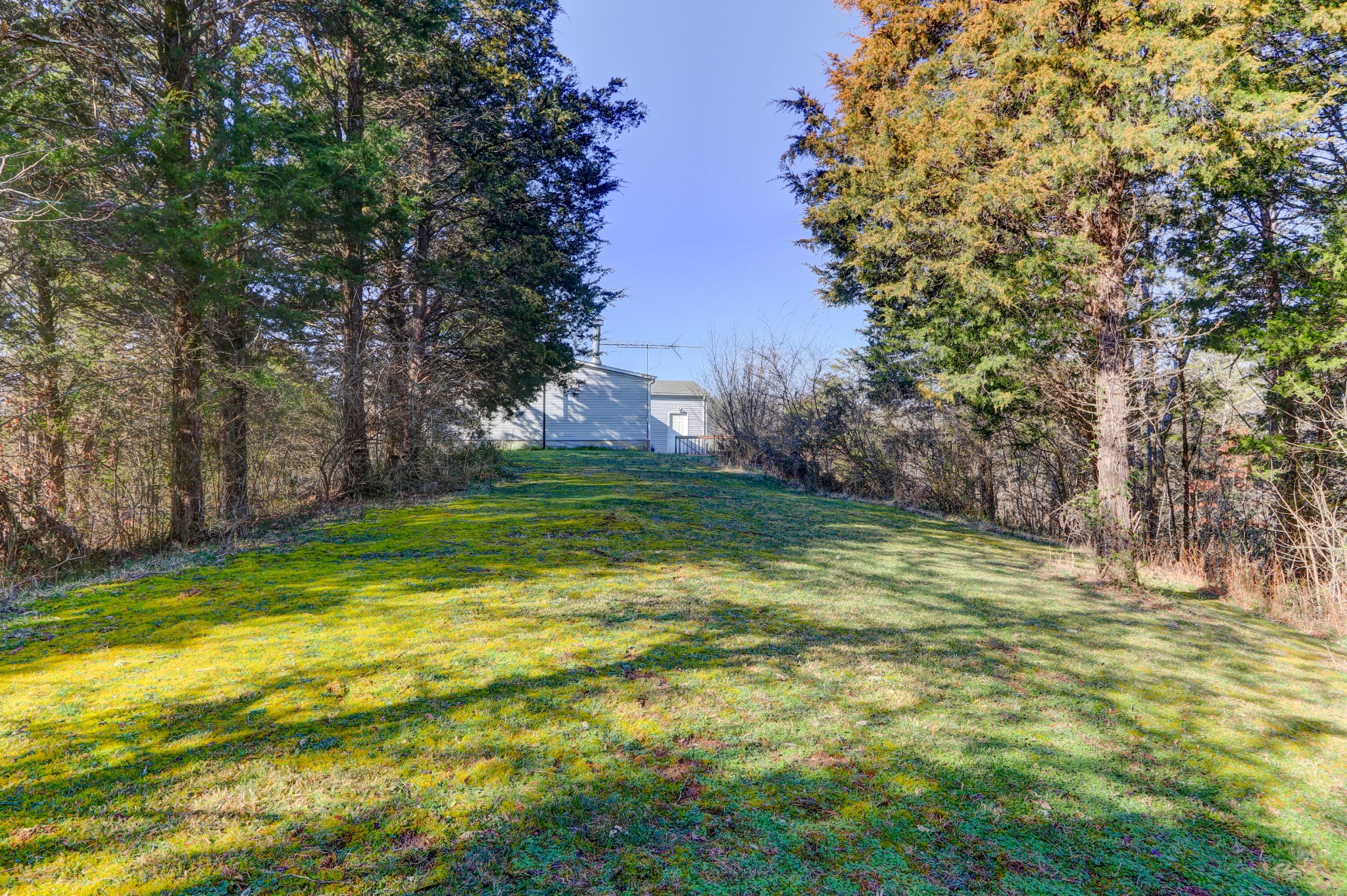 2506 Long Branch Road Seymour, TN 37865 - Photo 21 of 23 Gallery Image 21
