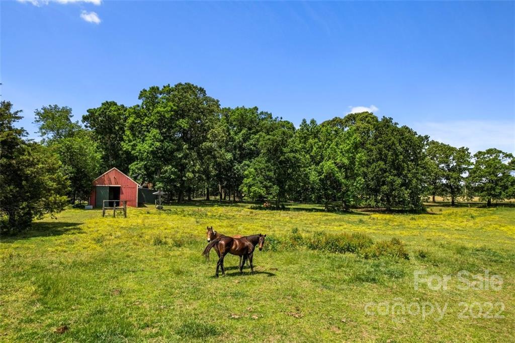 4410 Ansonville Road Marshville, NC 28103 - Photo 5 of 47 a view of a swimming pool with a yard