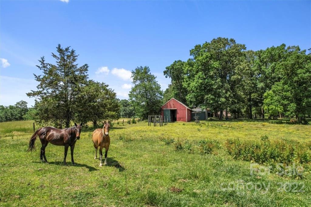 4410 Ansonville Road Marshville, NC 28103 - Photo 6 of 47 a view of a yard with a slide