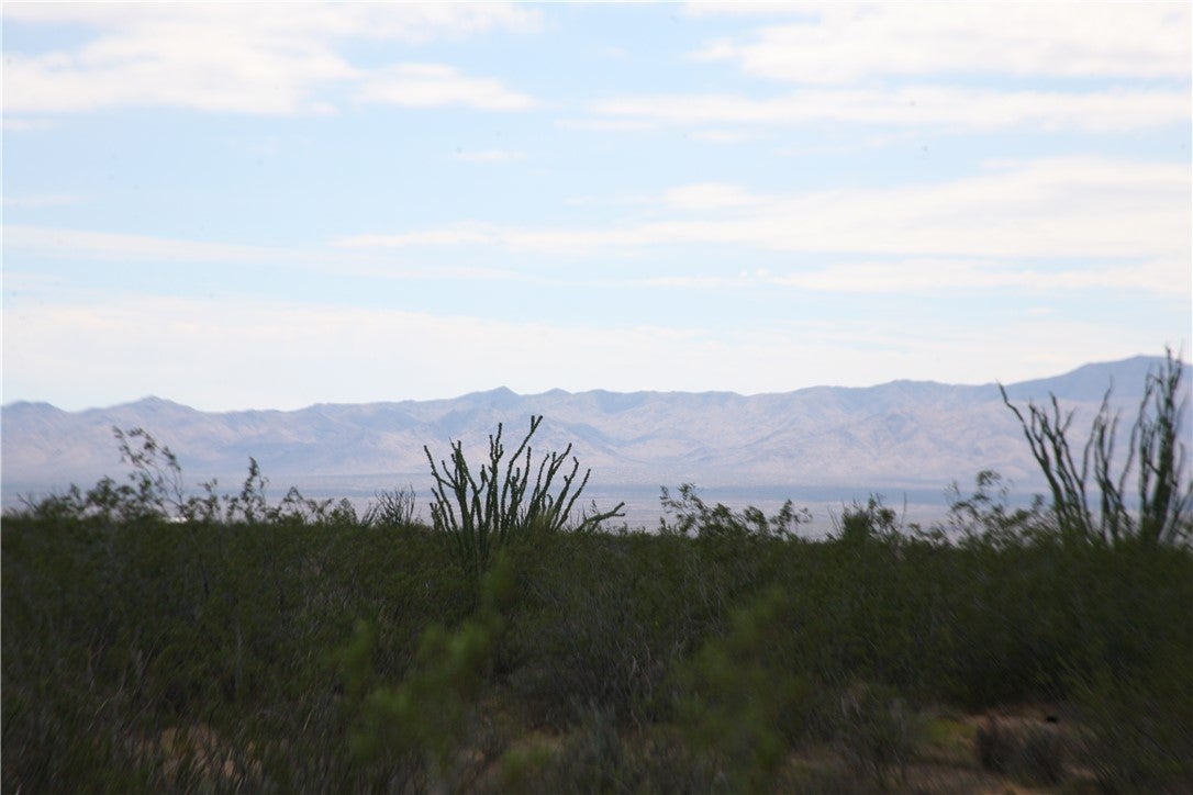 243-15-016 South Custer Road, Unit 3491 Yucca, AZ 86438 - Photo 37 of 61 Gallery Image 37