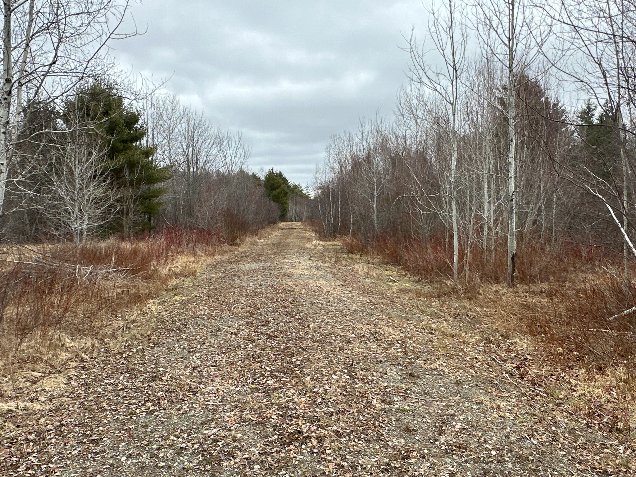 M2-l59-4 Dixmont Road Etna, ME 04434 - Photo 29 of 29 Photo Mar 11 2024, 11 33 03 AM