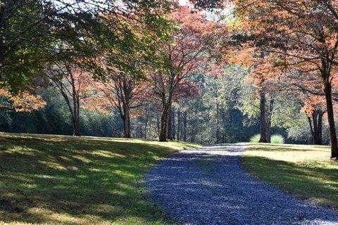 1299 Charles Road Decatur, TN 37322 - Photo 27 of 42 DSC_0002