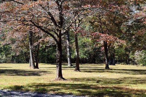 1299 Charles Road Decatur, TN 37322 - Photo 29 of 42 DSC_0005