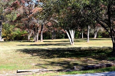 1299 Charles Road Decatur, TN 37322 - Photo 30 of 42 DSC_0007