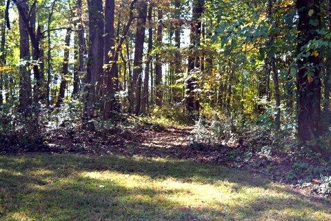 1299 Charles Road Decatur, TN 37322 - Photo 32 of 42 DSC_0016