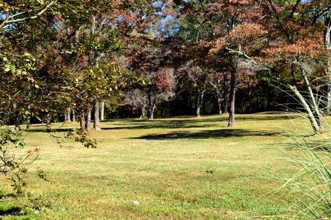 1299 Charles Road Decatur, TN 37322 - Photo 35 of 42 DSC_0053