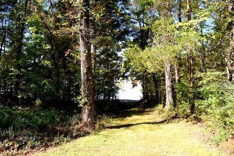 1299 Charles Road Decatur, TN 37322 - Photo 36 of 42 DSC_0020