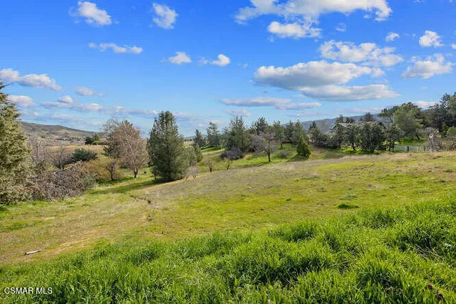 $875,000 | 39860 86th Street West, Leona Valley, CA 93551