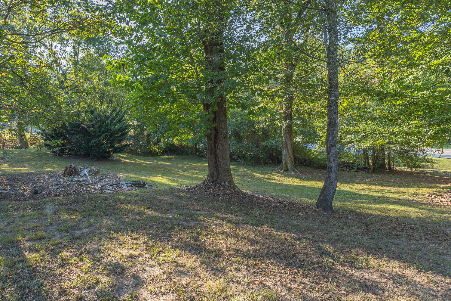 4418 Happy Valley Road Flintstone, GA 30725 - Photo 4 of 16 4418 Happy Valley HD -15
