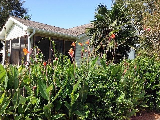 105 Channel Rock Road Beaufort, NC 28516 - Photo 74 of 103 Back yard calla lillies3223
