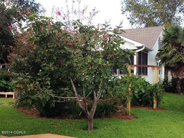 105 Channel Rock Road Beaufort, NC 28516 - Photo 75 of 103 Fig tree