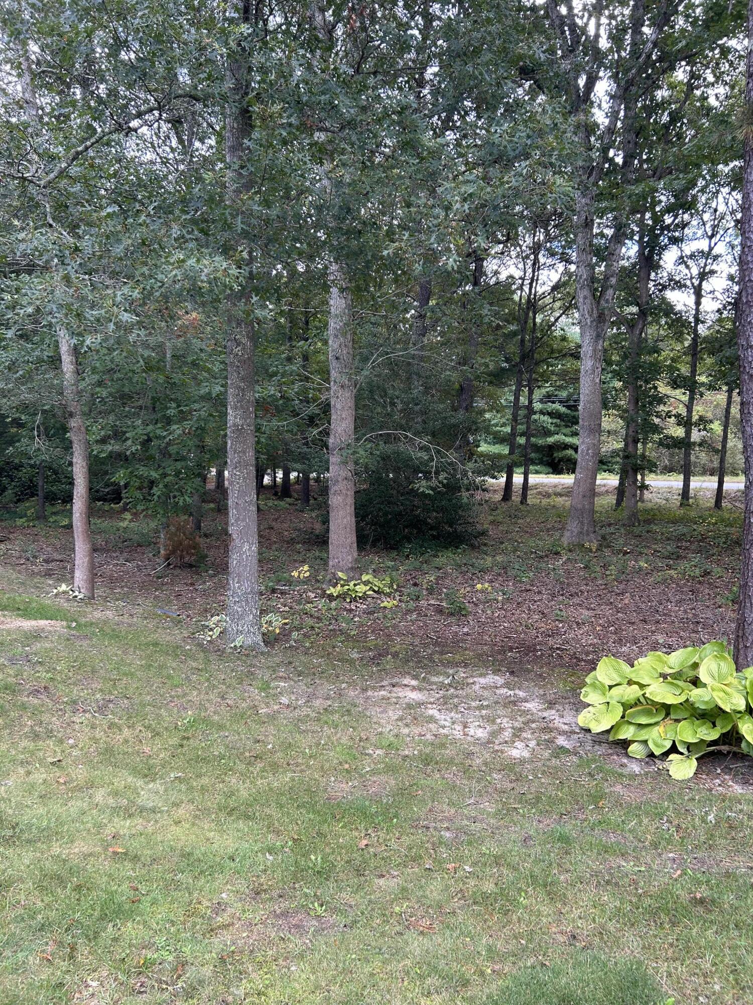 8 Bridgets Path Centerville, MA 02632 - Photo 22 of 43 9F94C00F-AFB9-46EB-9BE6-5BB5115C9F47