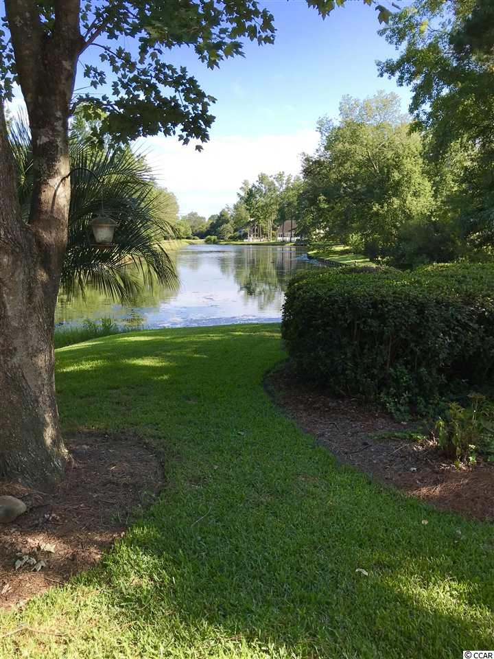 221 Ashley River Road Myrtle Beach, SC 29588 - Photo 39 of 40 Gallery Image 39