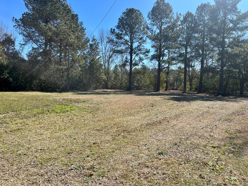 1920 Reynolds Road Pinewood, SC 29125 - Photo 19 of 19 Gallery Image 19