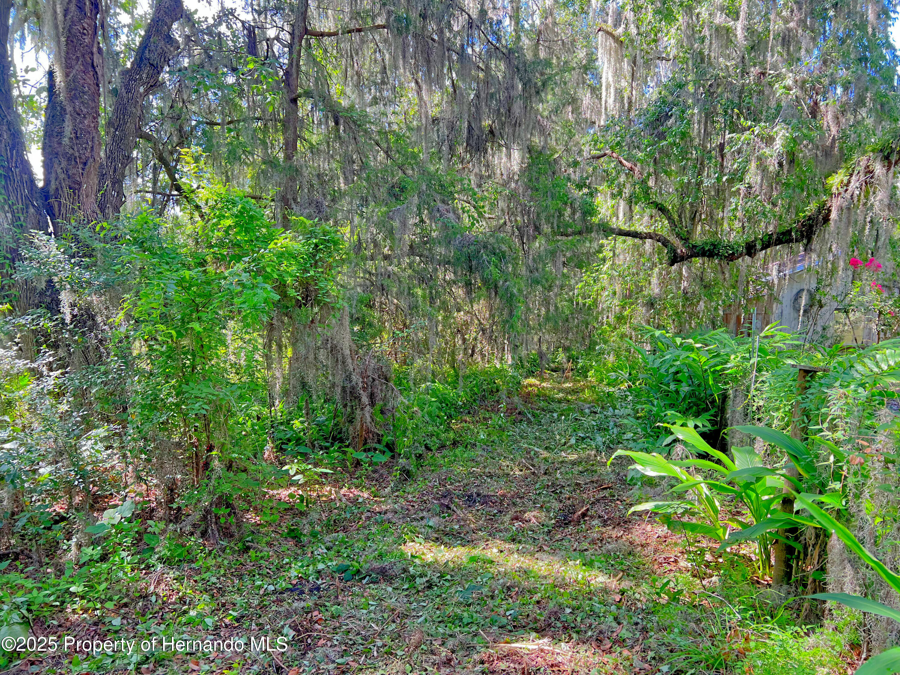 0 Whitman Road Brooksville, FL 34601 - Photo 26 of 30