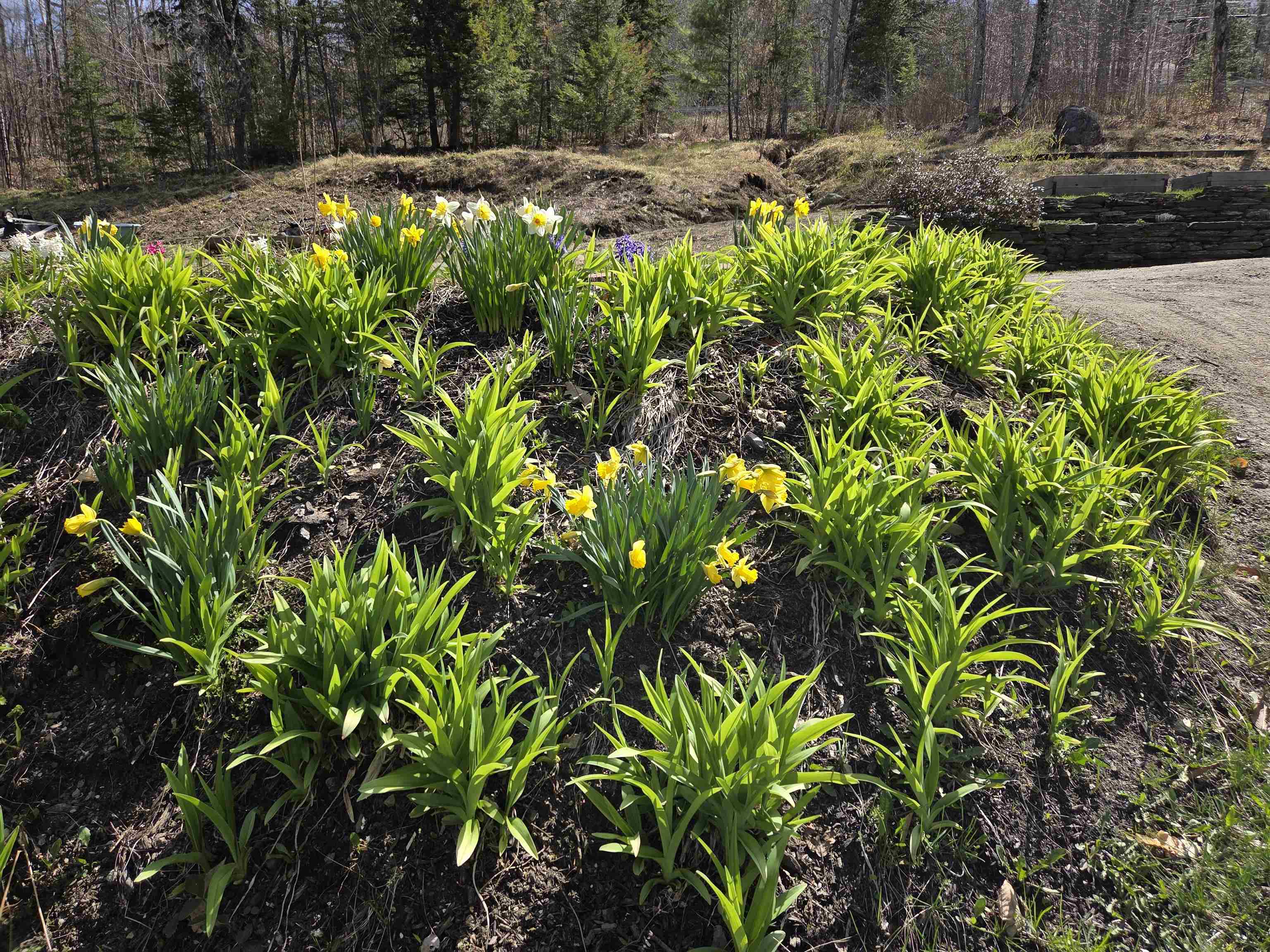 36 Grafton Pond Road Enfield, NH 03748 - Photo 40 of 53 Gallery Image 40