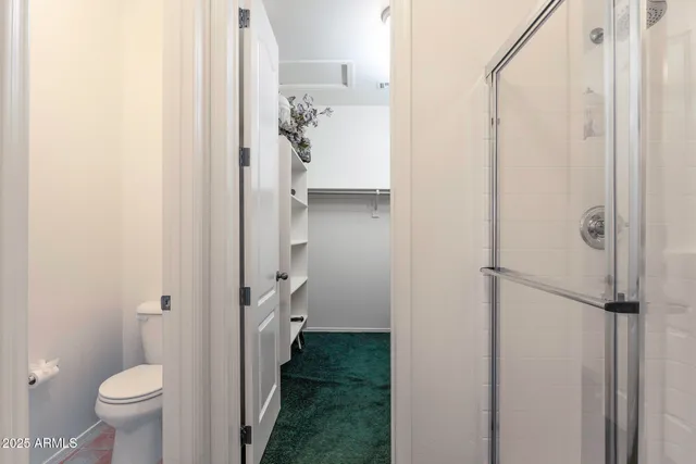 a bathroom with a shower and a toilet