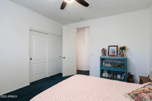 a bedroom with a bed and a walk in closet