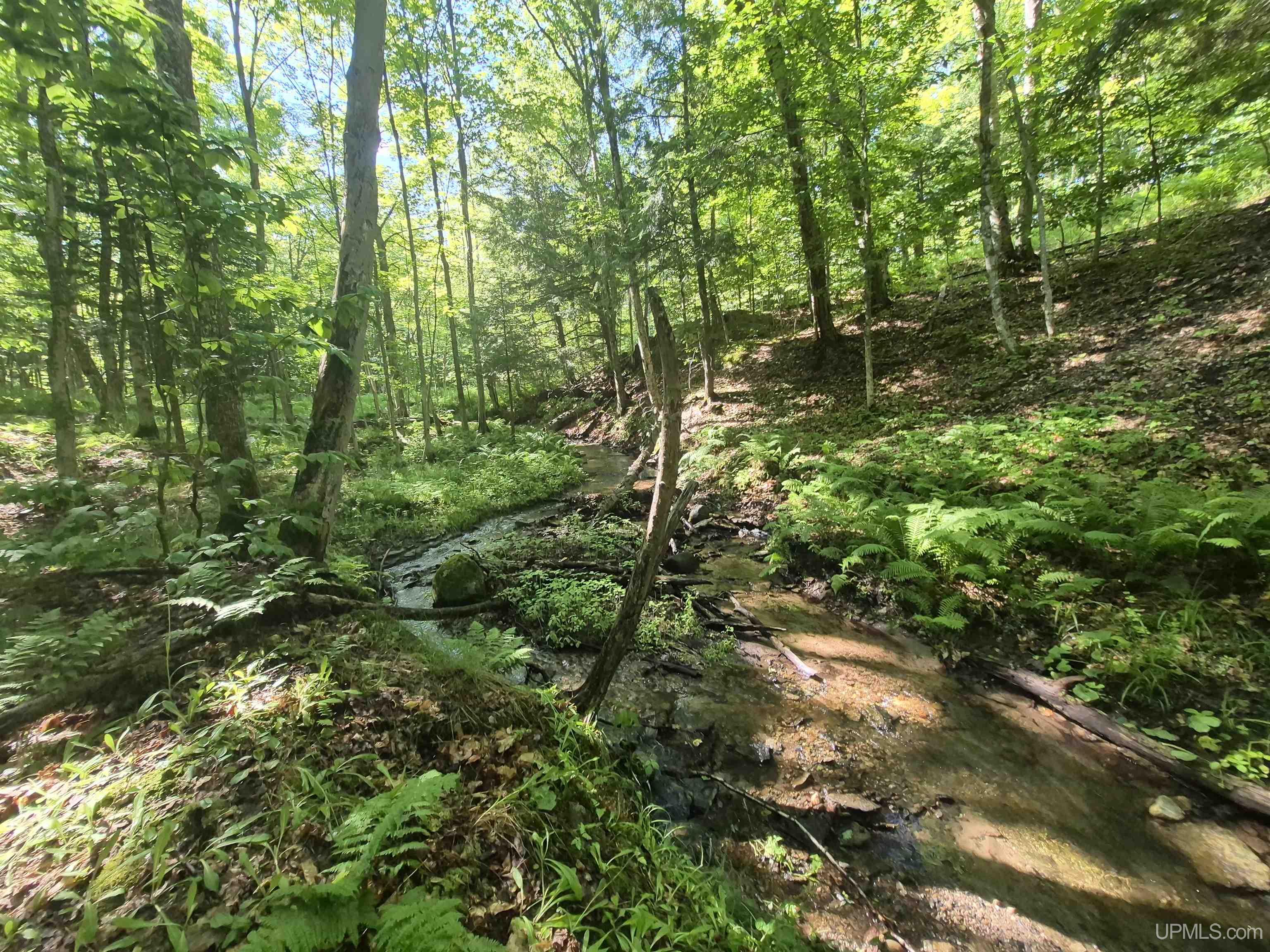 8-acres Nestor Road Munising, MI 49862 - Photo 28 of 43