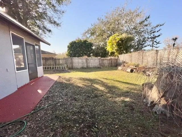 a view of a backyard with a large tree