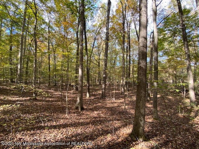15 Sandy Ridge Road Byhalia, MS 38611 - Photo 3 of 15 unnamed (1)