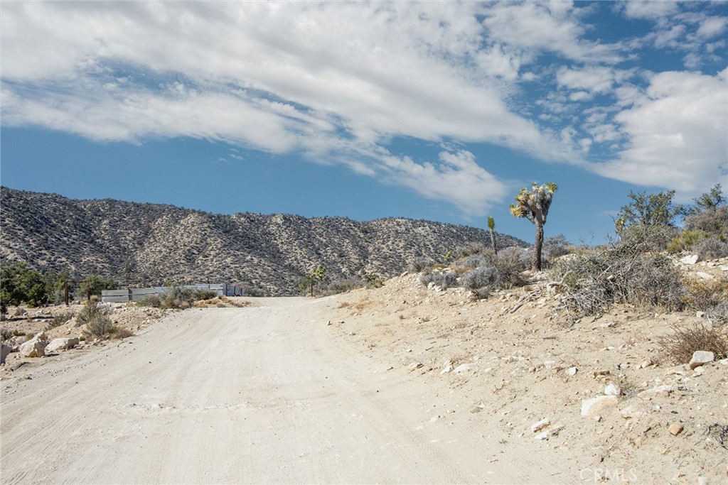 48400 Madison Road Landers, CA 92285 - Photo 11 of 21 a view of a dry yard covered with snow