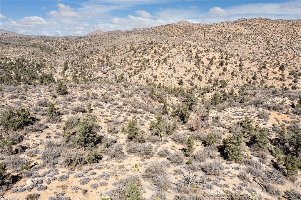 48400 Madison Road Landers, CA 92285 - Photo 16 of 21 a view of a yard