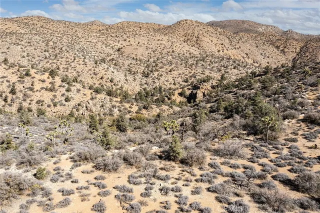 a view of a yard covered with snow