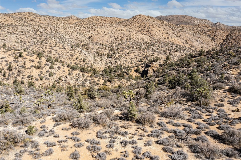 48400 Madison Road Landers, CA 92285 - Photo 19 of 21 a view of a yard covered with snow