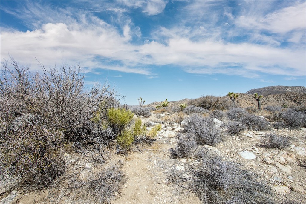 48400 Madison Road Landers, CA 92285 - Photo 21 of 21 a view of a building