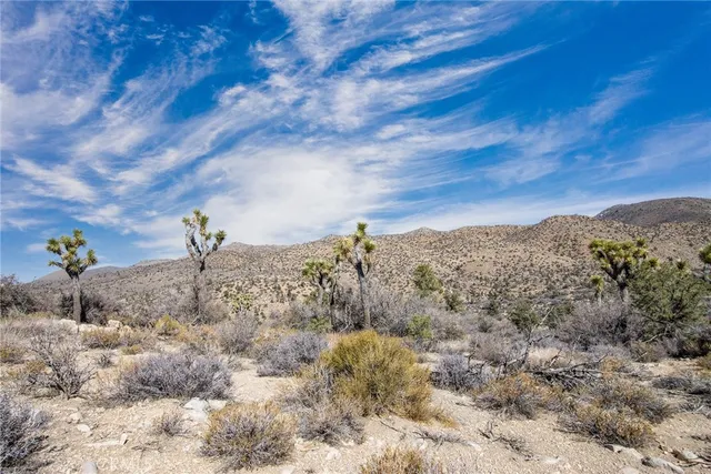 a view of a dry field with mountains in the background