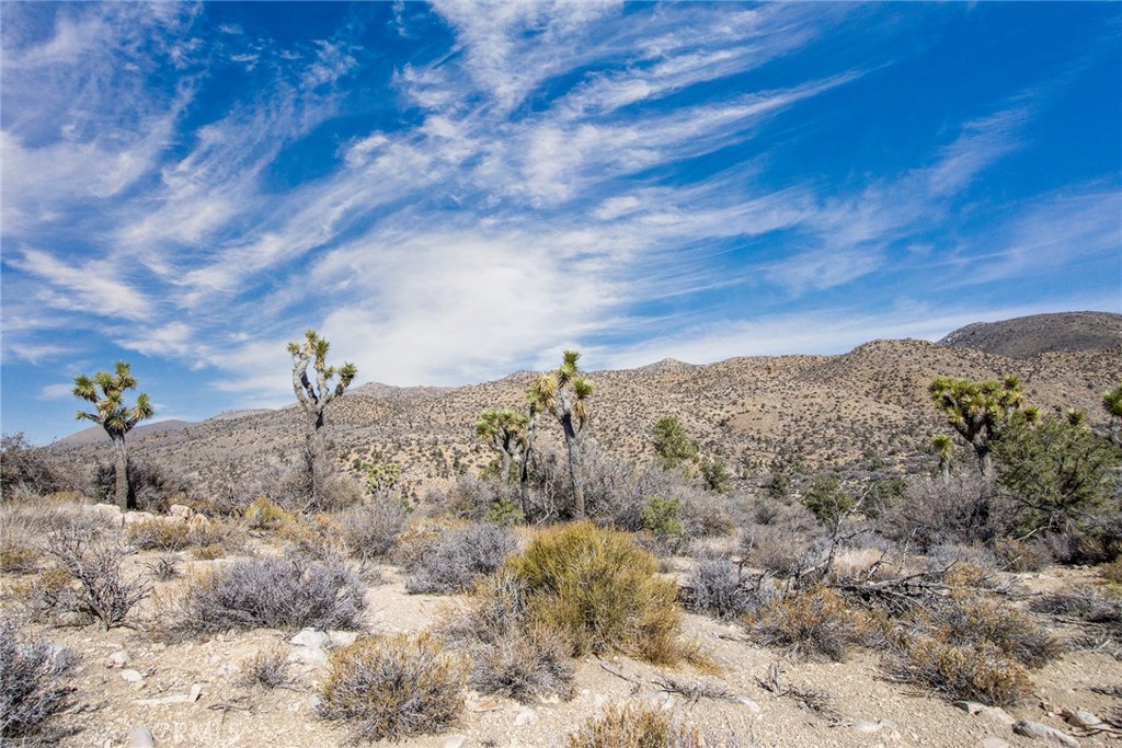 48400 Madison Road Landers, CA 92285 - Photo 7 of 21 a view of a dry yard with green space